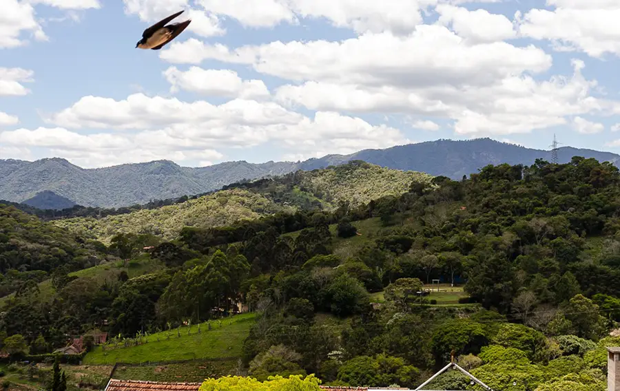 pousada chales sao francisco suite bico de veludo 06